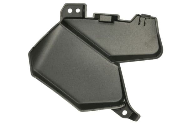 Grila radiator BLIC 6502-07-2953996P