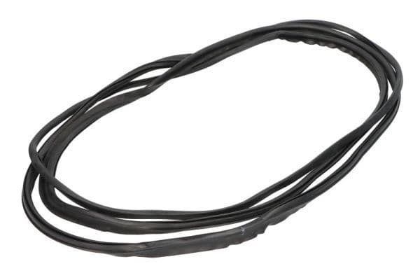 Garnitura, parbriz BLIC 5703-04-6037312Q