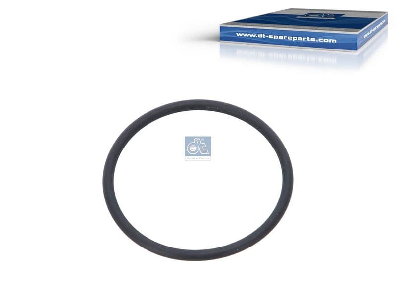 Garnitura, carcasa termostat DT Spare Parts 5.41037