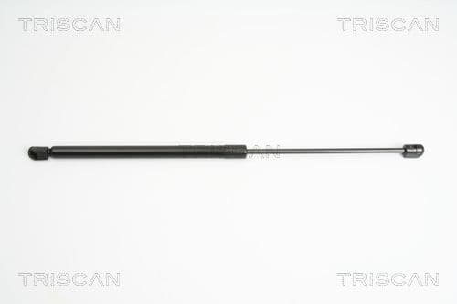 Amortizor portbagaj TRISCAN 8710 16249