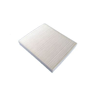Filtru, aer habitaclu MTR 12135385