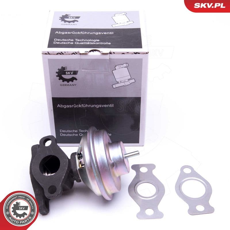 Supapa EGR ESEN SKV 14SKV204