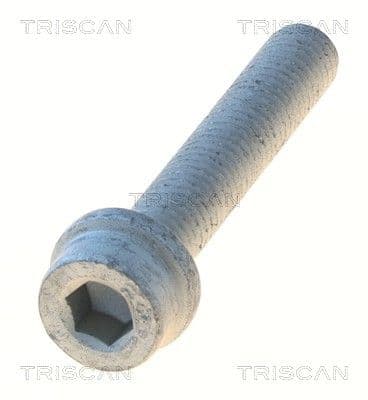 Bolturi fixare, brat suspensie TRISCAN 8501 0525
