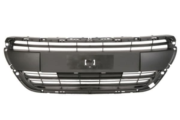Grila radiator BLIC 6502-07-5509992Q