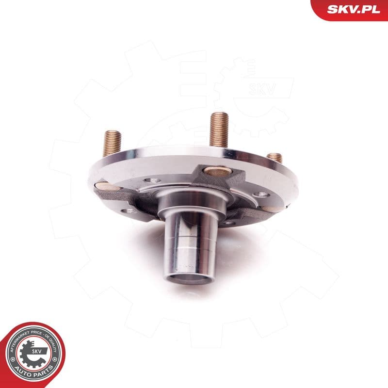 Set rulment roata ESEN SKV 29SKV169