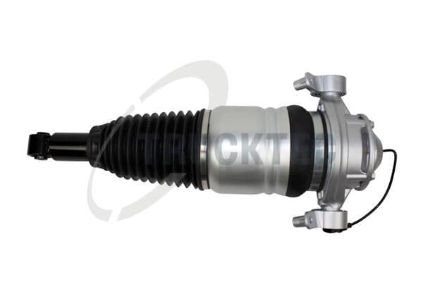 Brat arc pneumatic TRUCKTEC AUTOMOTIVE 07.30.187