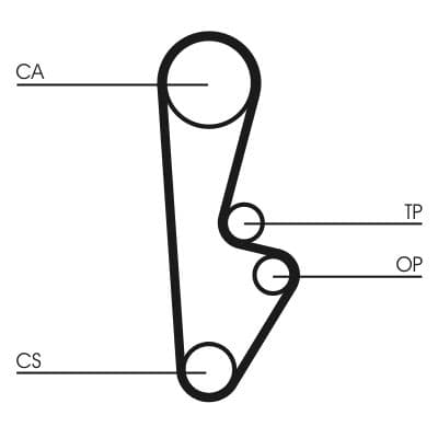 Curea de distributie CONTINENTAL CTAM CT559