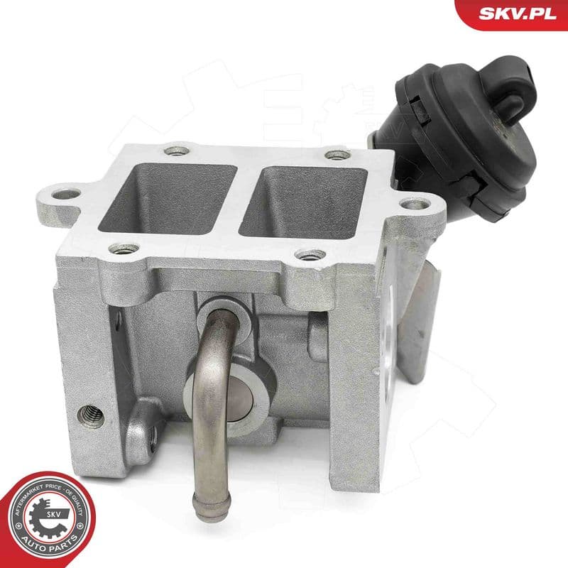 Supapa EGR ESEN SKV 14SKV290