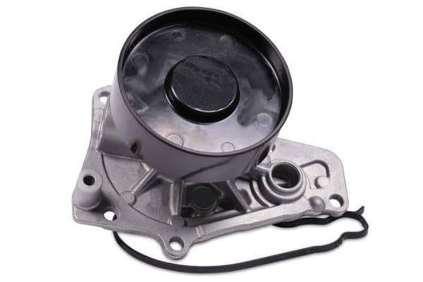 Pompă de apă, răcire motor HEPU P442