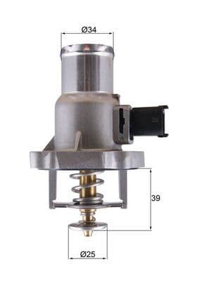 termostat,lichid racire MAHLE BEHR TM 55 105