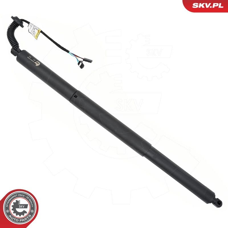 Motor electric, haion ESEN SKV 52SKV258