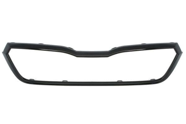 Banda de protectie, grila radiator BLIC 6502-07-7519995P