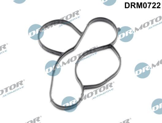 Garnitura, pompa de apa Dr.Motor Automotive DRM0722