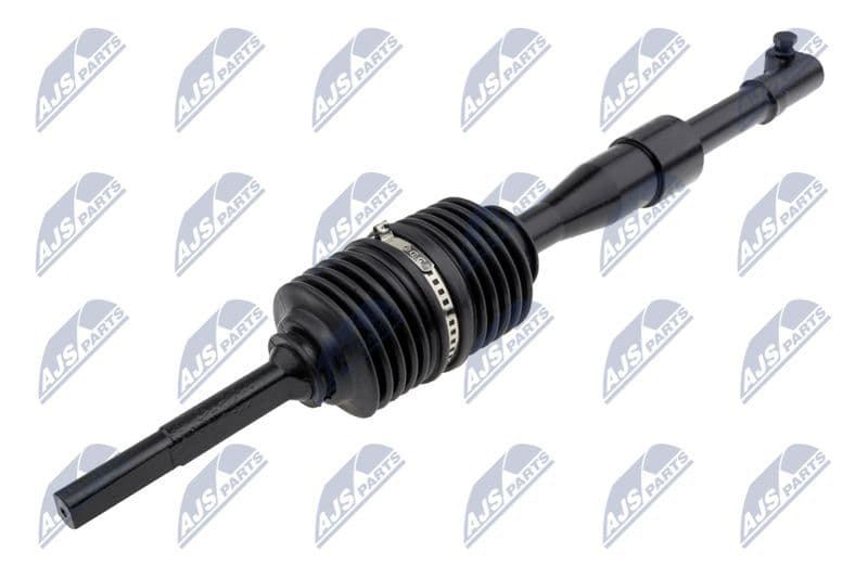 Arbore directie NTY SMP-NS-002