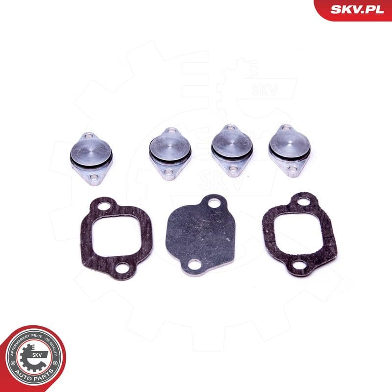 Set pentru reparat, modul țeavă de aspirație ESEN SKV 49SKV529