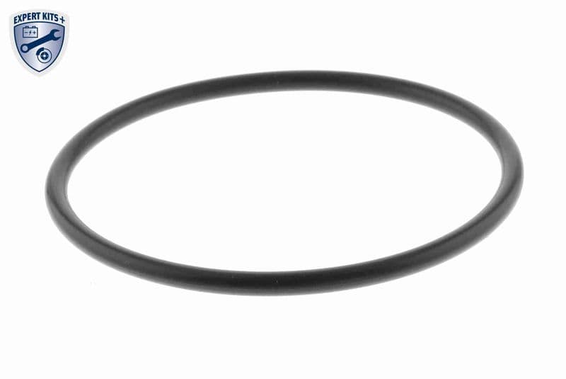 Garnitura, conducta supapa-AGR VEMO Original Quality V10-63-0101