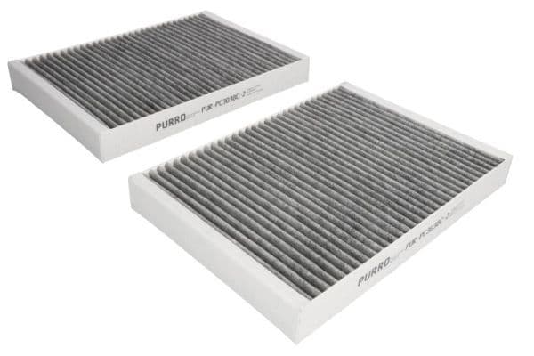 Filtru, aer habitaclu PURRO PUR-PC3038C-2