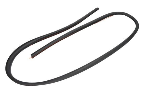 Elemente decorative/protectie, parbriz BLIC 5703-04-6037433Q