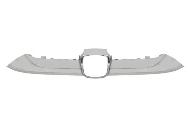 Banda de protectie, grila radiator BLIC 6502-07-2951990P