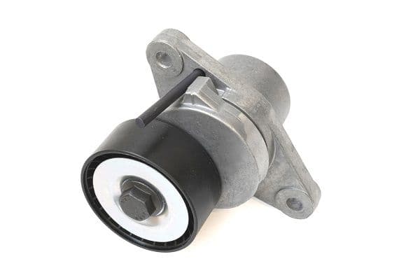 intinzator,curea transmisie ASAM AUTOMOTIVE 101300
