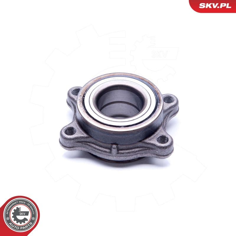 Set rulment roata ESEN SKV 29SKV227