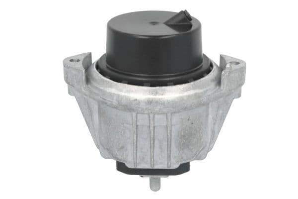 Suport motor REINHOCH RH11-3173