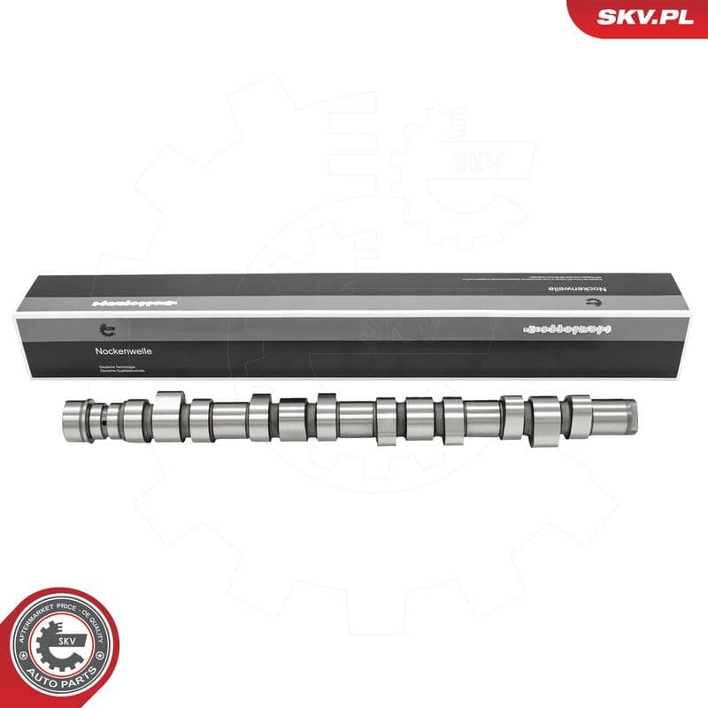 Ax cu came ESEN SKV 80SKV057