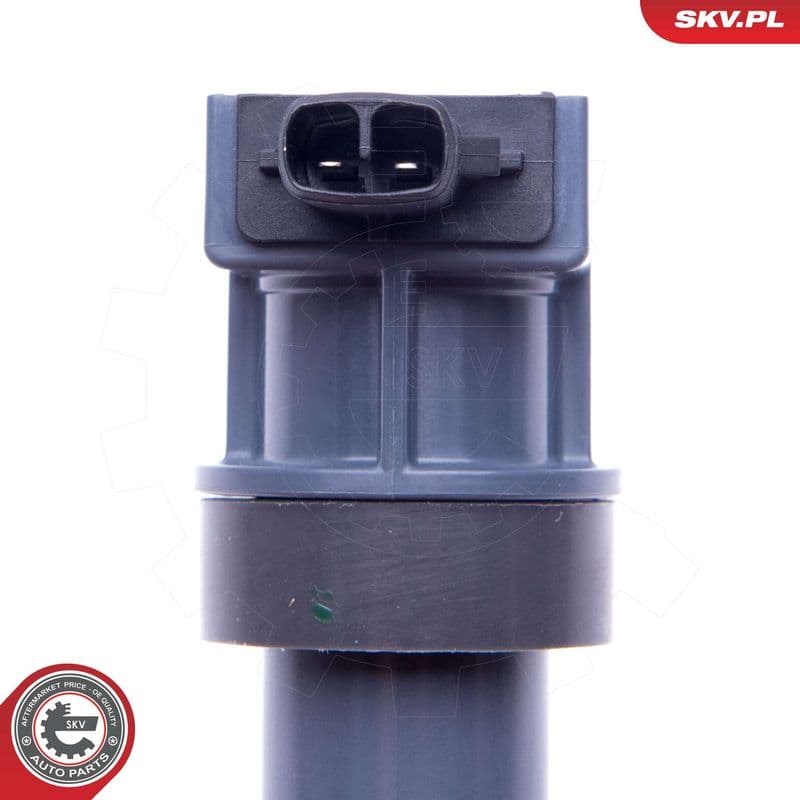 bobina de inductie ESEN SKV 03SKV313