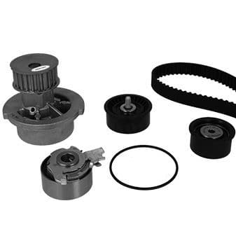 Set pompa apa + curea dintata METELLI 30-0541-4