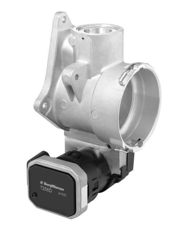 Supapa EGR BorgWarner 7256D