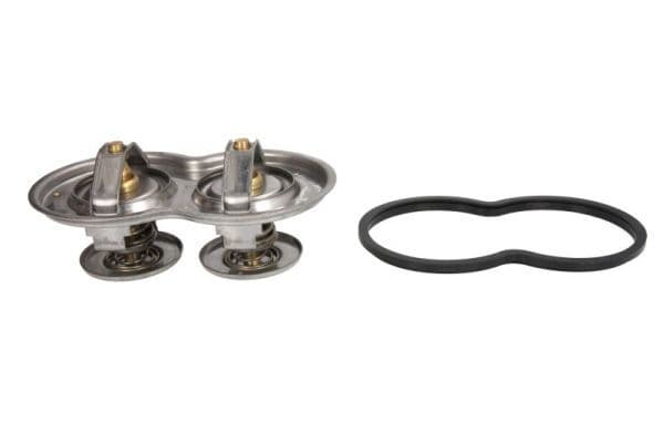 termostat,lichid racire THERMOTEC D2SC003TT