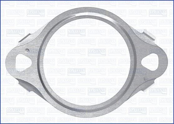 Garnitura, conducta supapa-AGR AJUSA 01450500