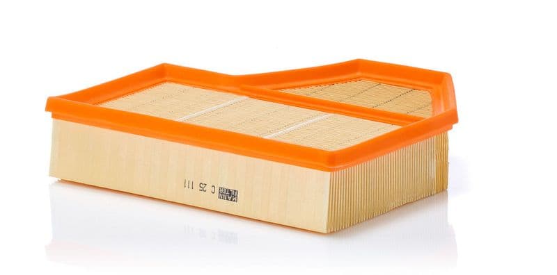 Filtru aer MANN-FILTER C 25 111