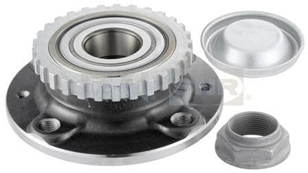 Set rulment roata SNR R166.29