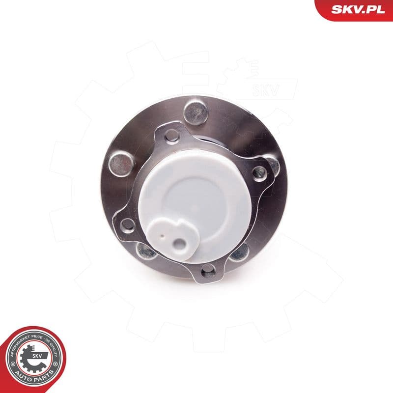 Set rulment roata ESEN SKV 29SKV079