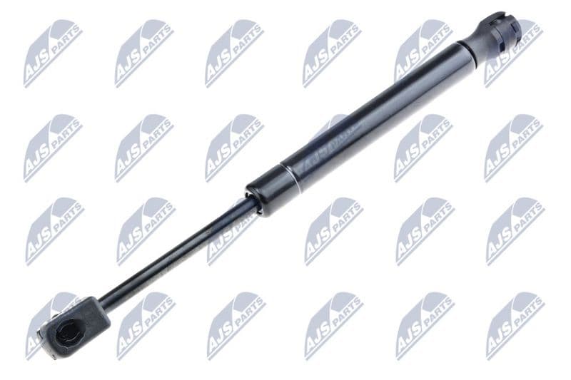 Amortizor portbagaj NTY AE-FR-043