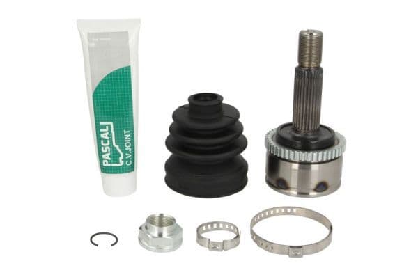 Set articulatie, planetara PASCAL G10369PC