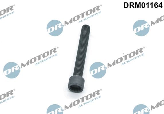 Surub, suport injector Dr.Motor Automotive DRM01164