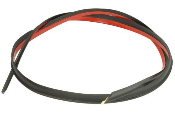 Garnitura, parbriz BLIC 5703-04-6037198Q