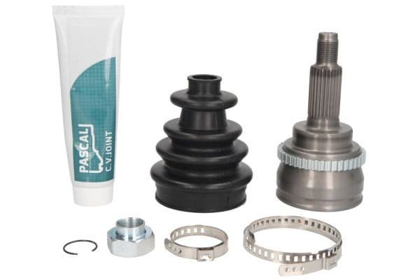 Set articulatie, planetara PASCAL G18025PC