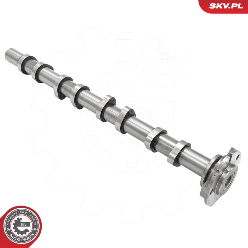 Ax cu came ESEN SKV 80SKV058