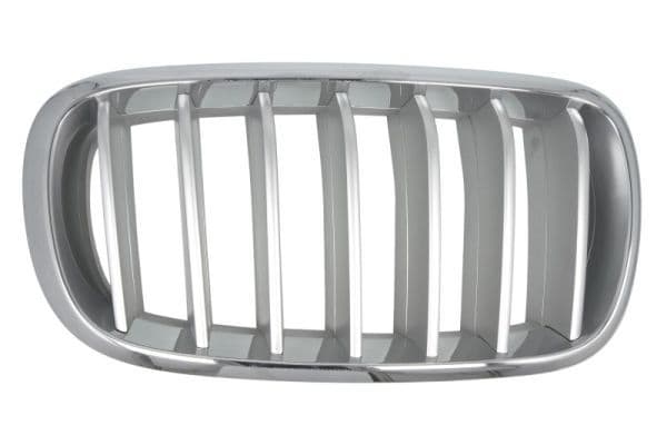 Grila radiator BLIC 6502-07-00969966P