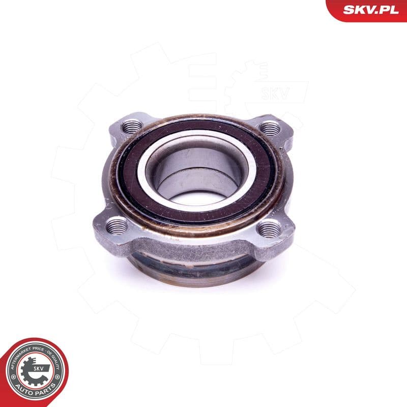 Set rulment roata ESEN SKV 29SKV397