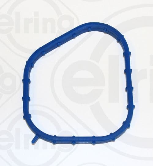 Garnitura, carcasa termostat ELRING 893.720