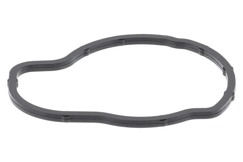 Garnitura termostat TOPRAN 205 945