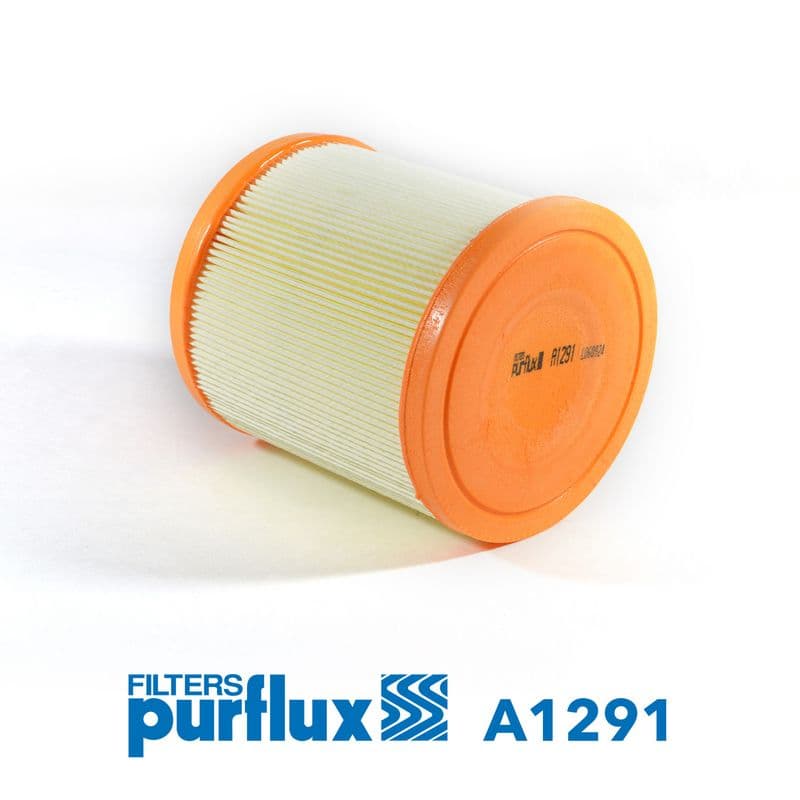 Filtru aer PURFLUX A1291