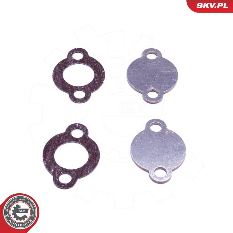 Set de reparație, supapă AGR ESEN SKV 14SKV578