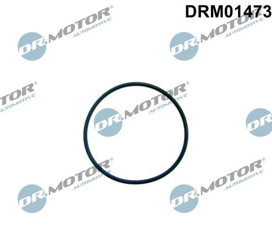 Garnitura, pompa combustibil Dr.Motor Automotive DRM01473
