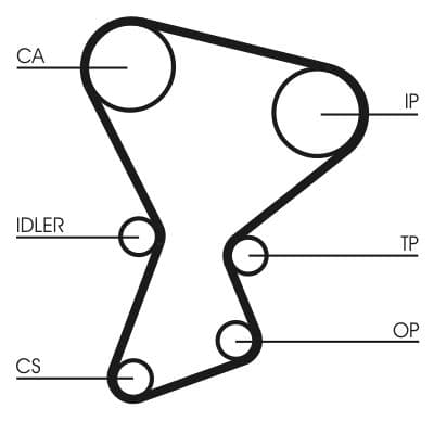 Curea de distributie CONTINENTAL CTAM CT545