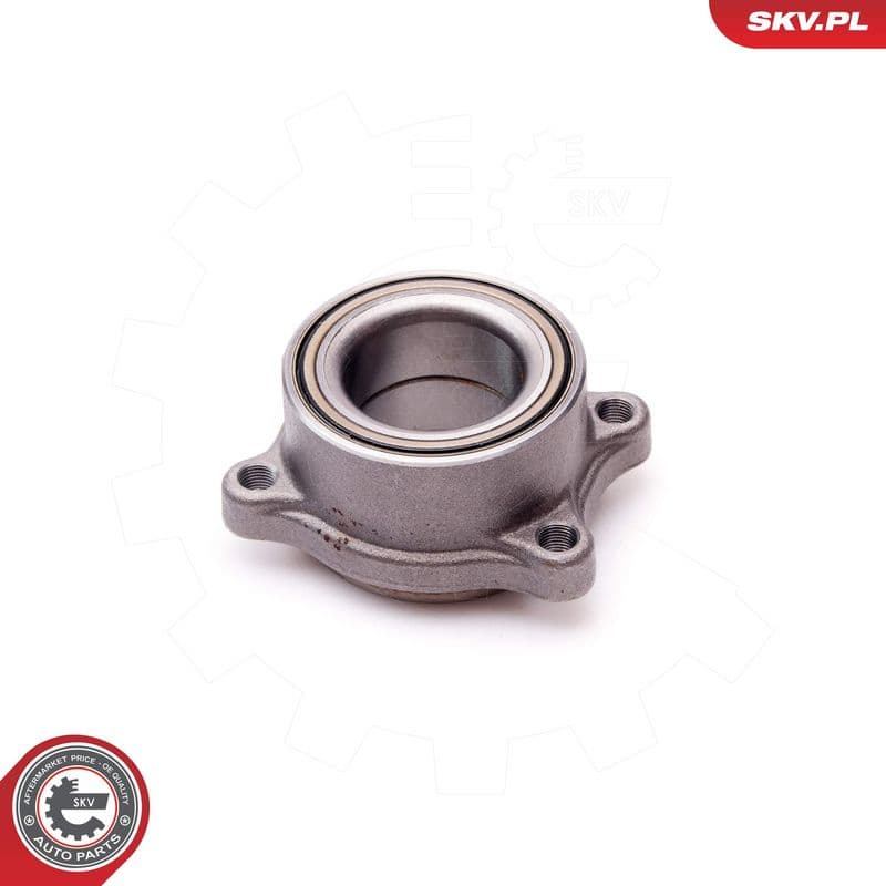 Set rulment roata ESEN SKV 29SKV156
